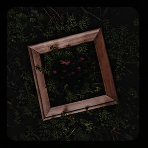 裸体㊙️免费看
