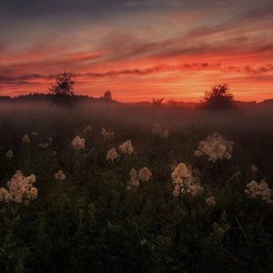 裸体㊙️免费看
