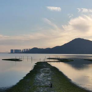 裸体㊙️免费看
