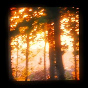 裸体㊙️免费看
